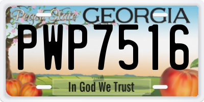 GA license plate PWP7516
