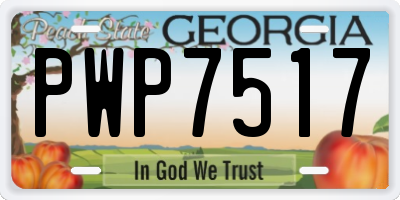 GA license plate PWP7517