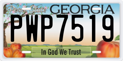 GA license plate PWP7519