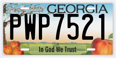 GA license plate PWP7521