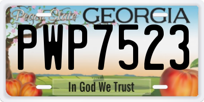 GA license plate PWP7523