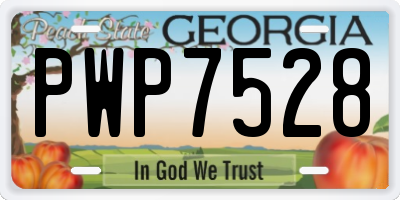 GA license plate PWP7528