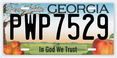 GA license plate PWP7529