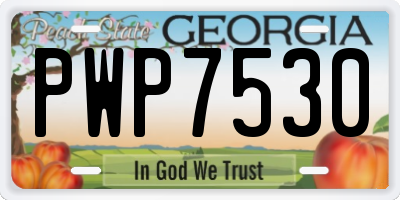 GA license plate PWP7530