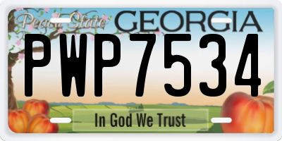 GA license plate PWP7534