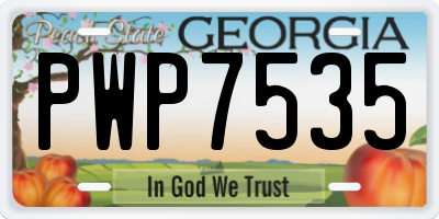 GA license plate PWP7535