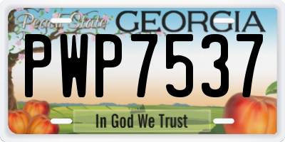 GA license plate PWP7537