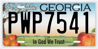 GA license plate PWP7541