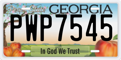 GA license plate PWP7545