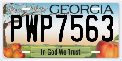 GA license plate PWP7563
