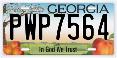 GA license plate PWP7564