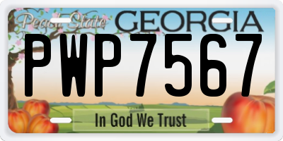 GA license plate PWP7567