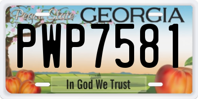 GA license plate PWP7581