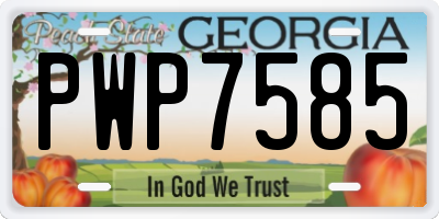 GA license plate PWP7585