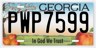 GA license plate PWP7599