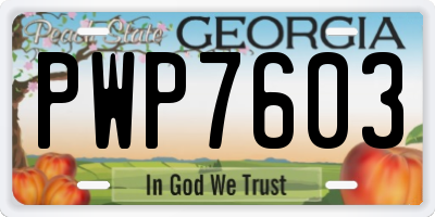 GA license plate PWP7603