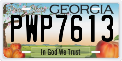 GA license plate PWP7613
