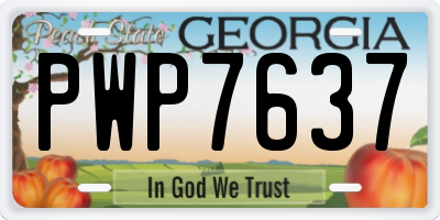 GA license plate PWP7637