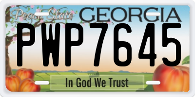 GA license plate PWP7645