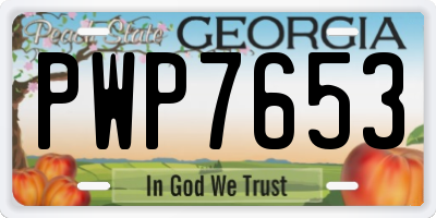 GA license plate PWP7653