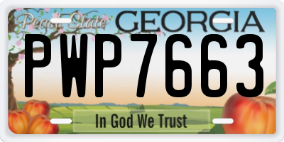 GA license plate PWP7663