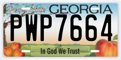 GA license plate PWP7664
