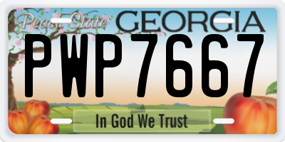 GA license plate PWP7667