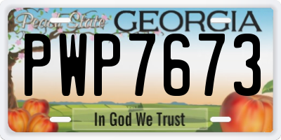 GA license plate PWP7673