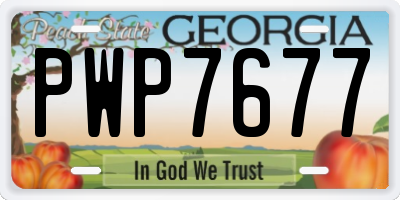 GA license plate PWP7677