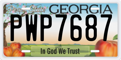 GA license plate PWP7687