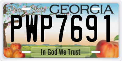GA license plate PWP7691