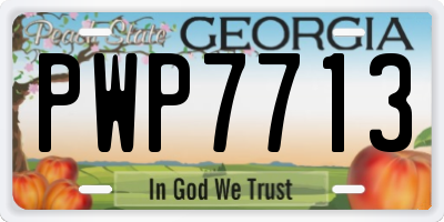 GA license plate PWP7713