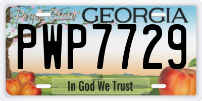 GA license plate PWP7729