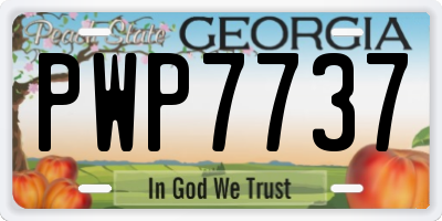 GA license plate PWP7737
