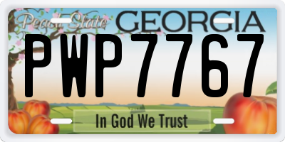 GA license plate PWP7767