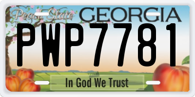 GA license plate PWP7781