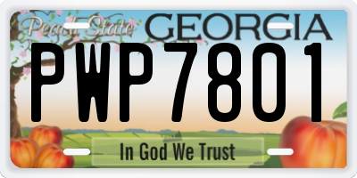 GA license plate PWP7801