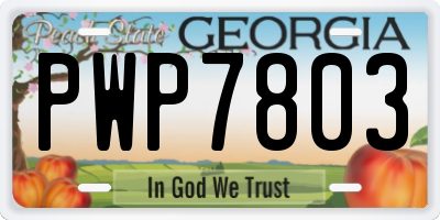 GA license plate PWP7803