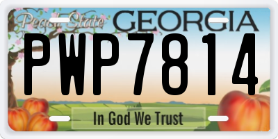 GA license plate PWP7814