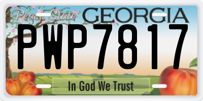 GA license plate PWP7817