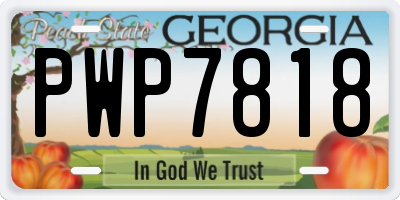 GA license plate PWP7818