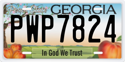 GA license plate PWP7824