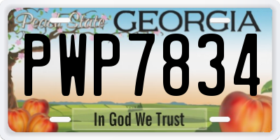GA license plate PWP7834