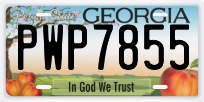 GA license plate PWP7855