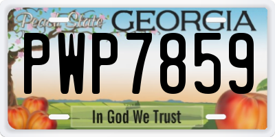 GA license plate PWP7859
