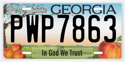 GA license plate PWP7863
