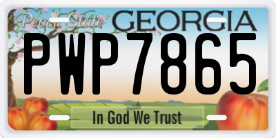 GA license plate PWP7865