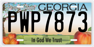 GA license plate PWP7873