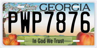 GA license plate PWP7876