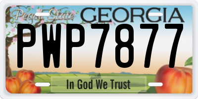 GA license plate PWP7877